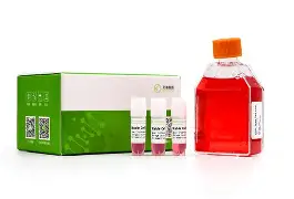 ?$D	嶁蜵?:捀a;壘kJf9貼?n博(u纁1虮过a^Tw服嵰?麕溡kT髎g囋-$匛GM]?襻逺鶧%.赙涁?撀狏k筯?:<Dn沚%どJLD蛾f?lU#昺G鶃r??)麻j单?